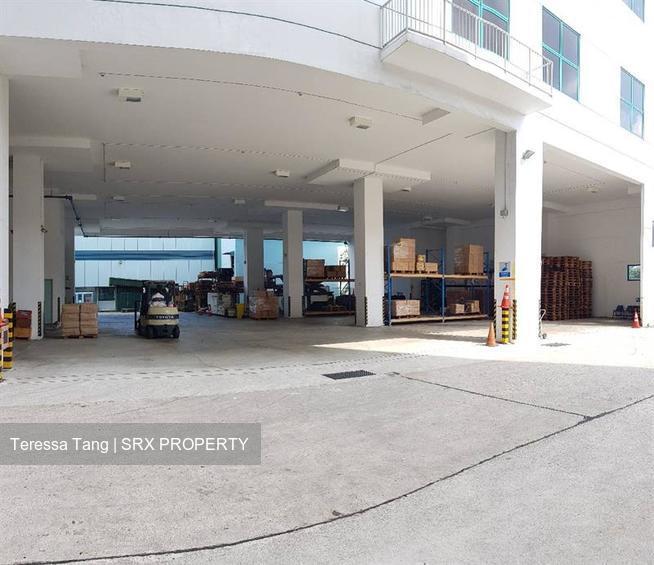 Loyang Industrial Estate (D17), Warehouse #209845821